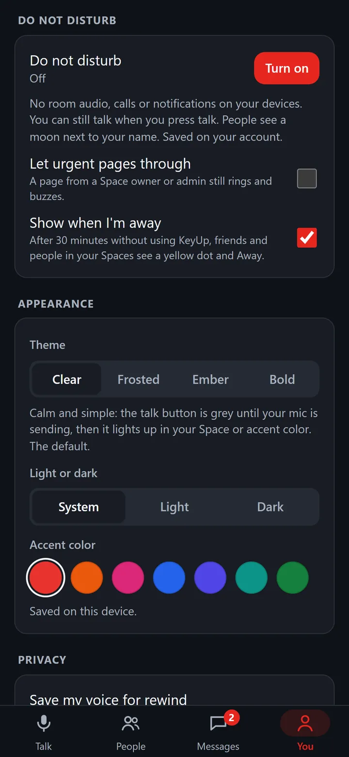 The web app’s You tab: Do not disturb with Turn on, Let urgent pages through and Show when I’m away, then Appearance with Theme, Light or dark and Accent color.