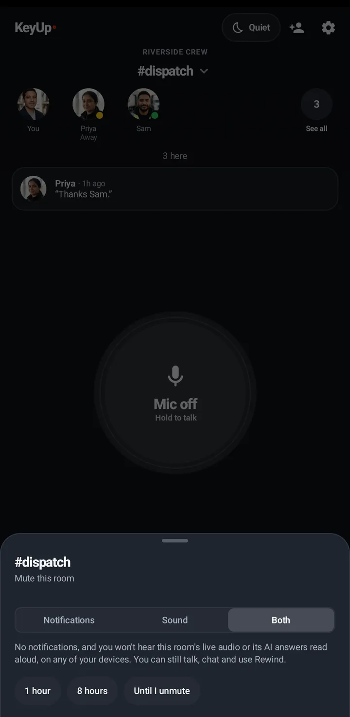 Mute #room opened from Quiet: Notifications, Sound or Both, and 1 hour, 8 hours or Until I unmute.