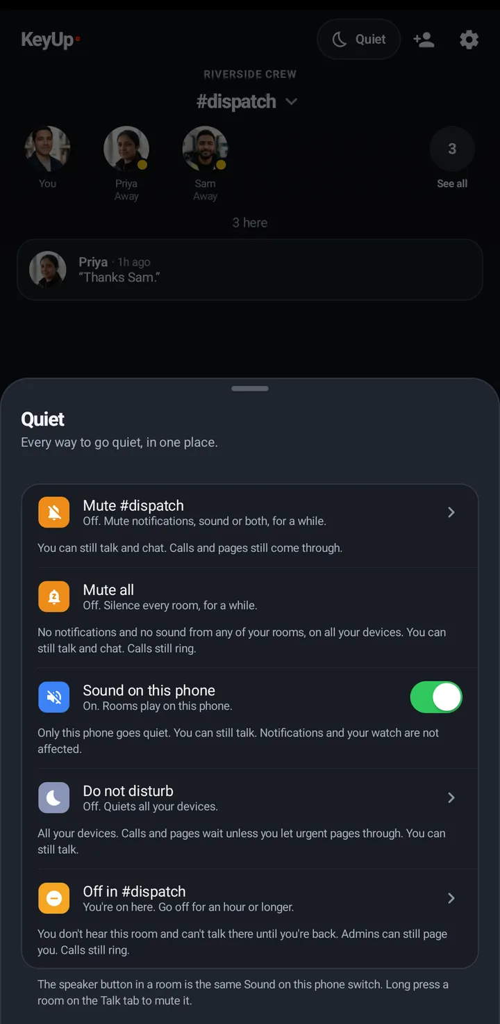 The Quiet sheet: “Every way to go quiet, in one place.” with Mute #room, Mute all, Sound on this phone, Do not disturb and Off in #room.