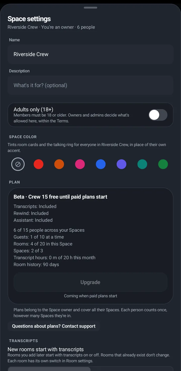 Space settings: name, description, Adults only (18+), Space color and the Plan card.