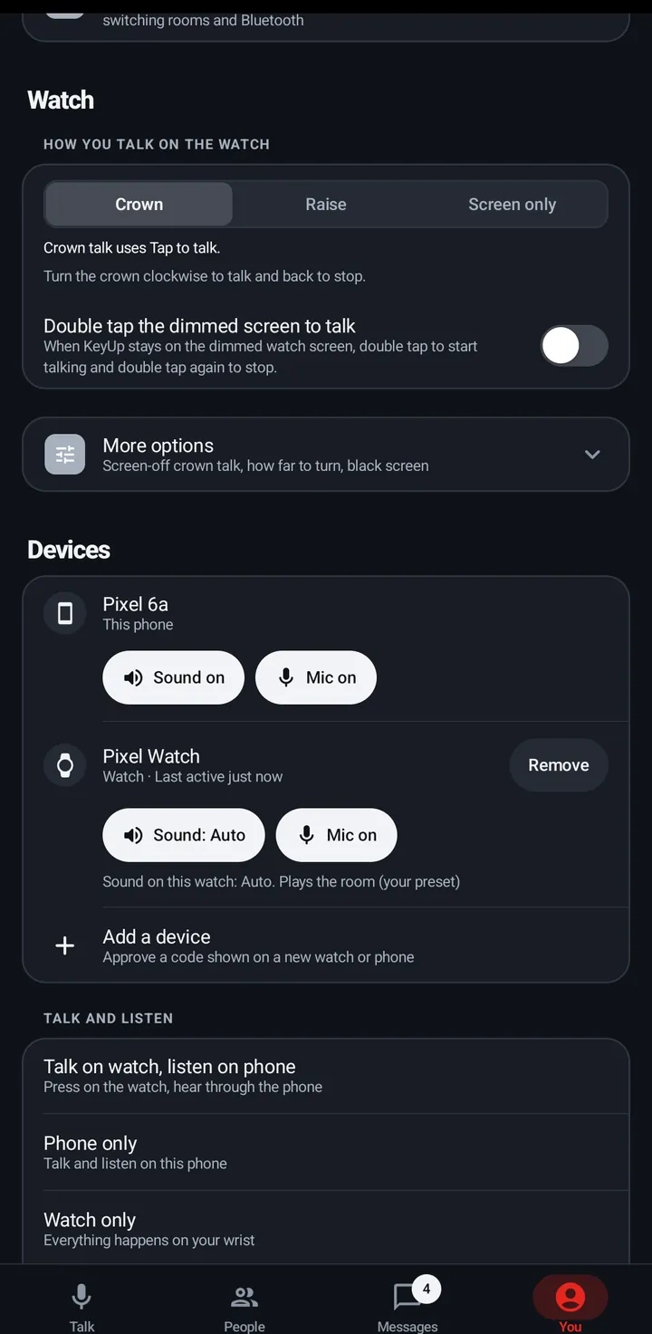 You › Watch: How you talk on the watch (Crown, Raise, Screen only), Double tap the dimmed screen to talk, More options, then the Devices list.